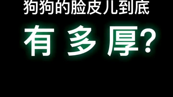 抖音每日推荐第一个视频1